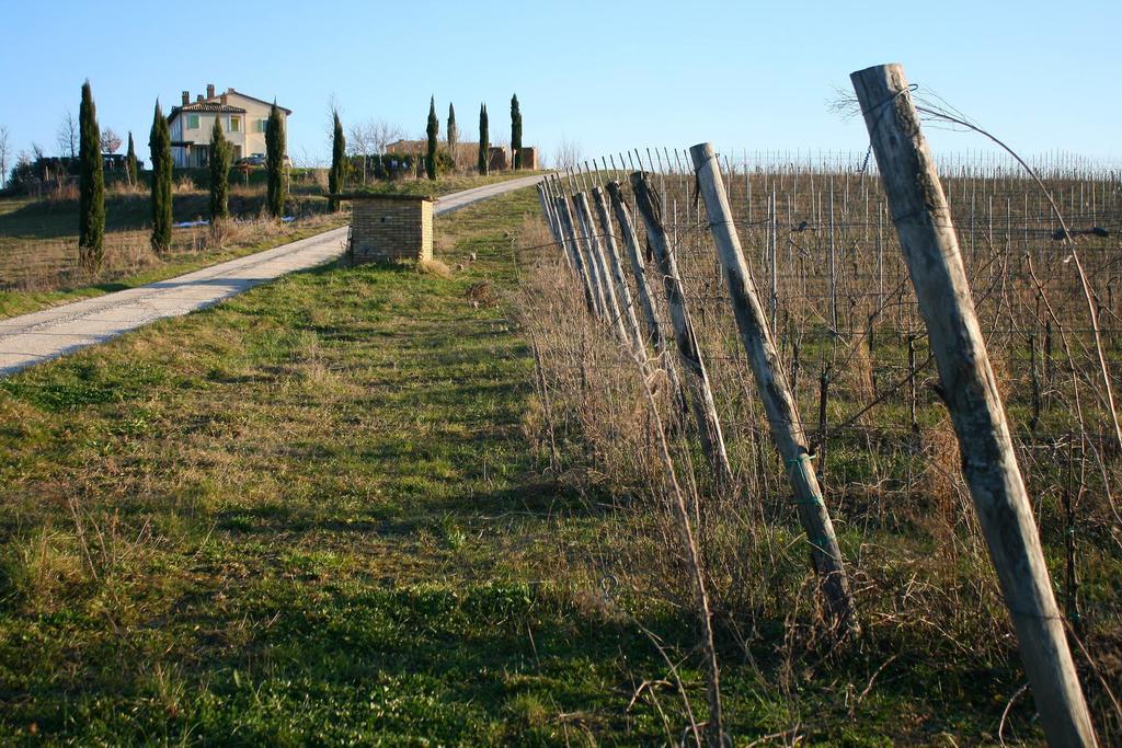 Recchi Franceschini Bike Hotel LAST - MINUTE - AVAILABILITY Montalto delle Marche Exterior foto
