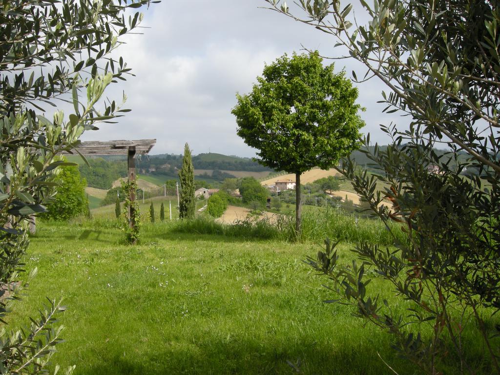 Recchi Franceschini Bike Hotel LAST - MINUTE - AVAILABILITY Montalto delle Marche Exterior foto